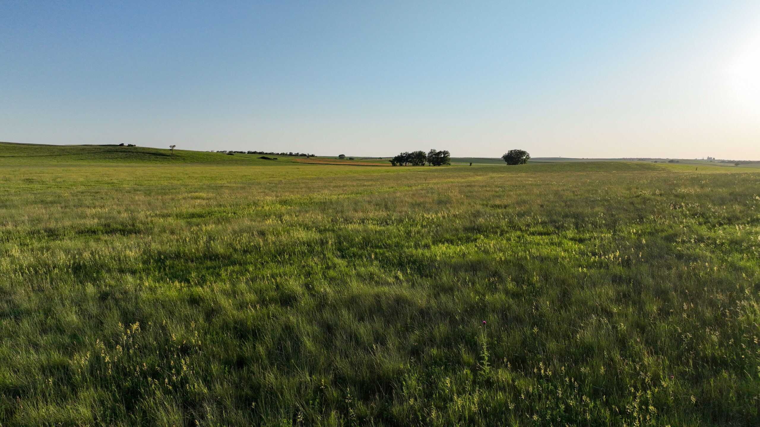 Tripp County, South Dakota Pasture/Headquarters Site Auction