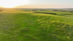Tripp County, South Dakota Pasture/Headquarters Site Auction