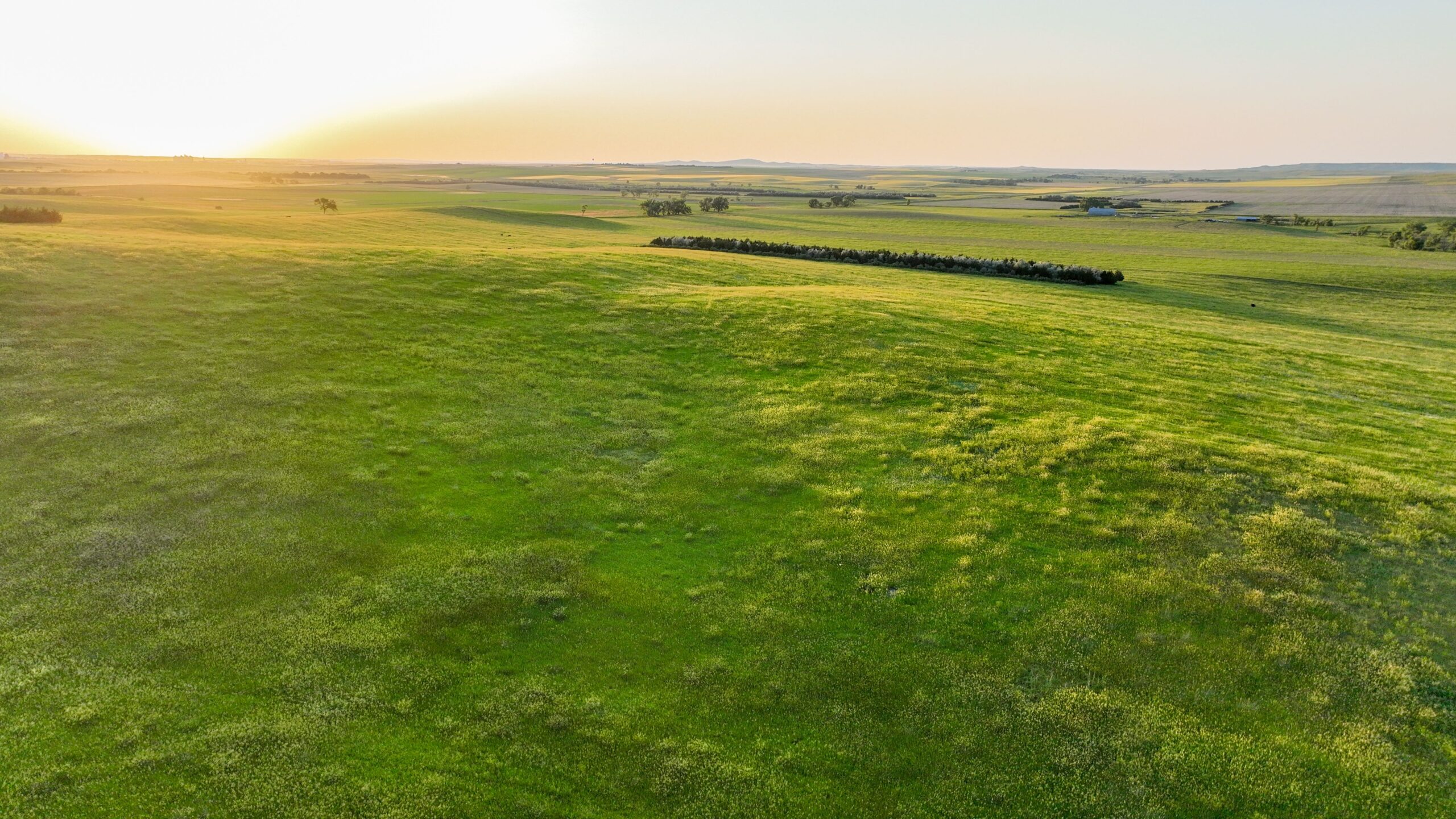 Tripp County, South Dakota Pasture/Headquarters Site Auction
