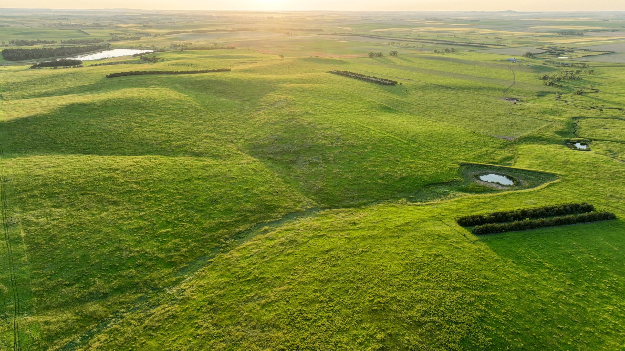 Tripp County, South Dakota Pasture/Headquarters Site Auction
