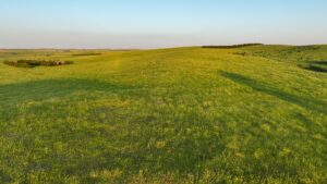 Tripp County, South Dakota Pasture/Headquarters Site Auction