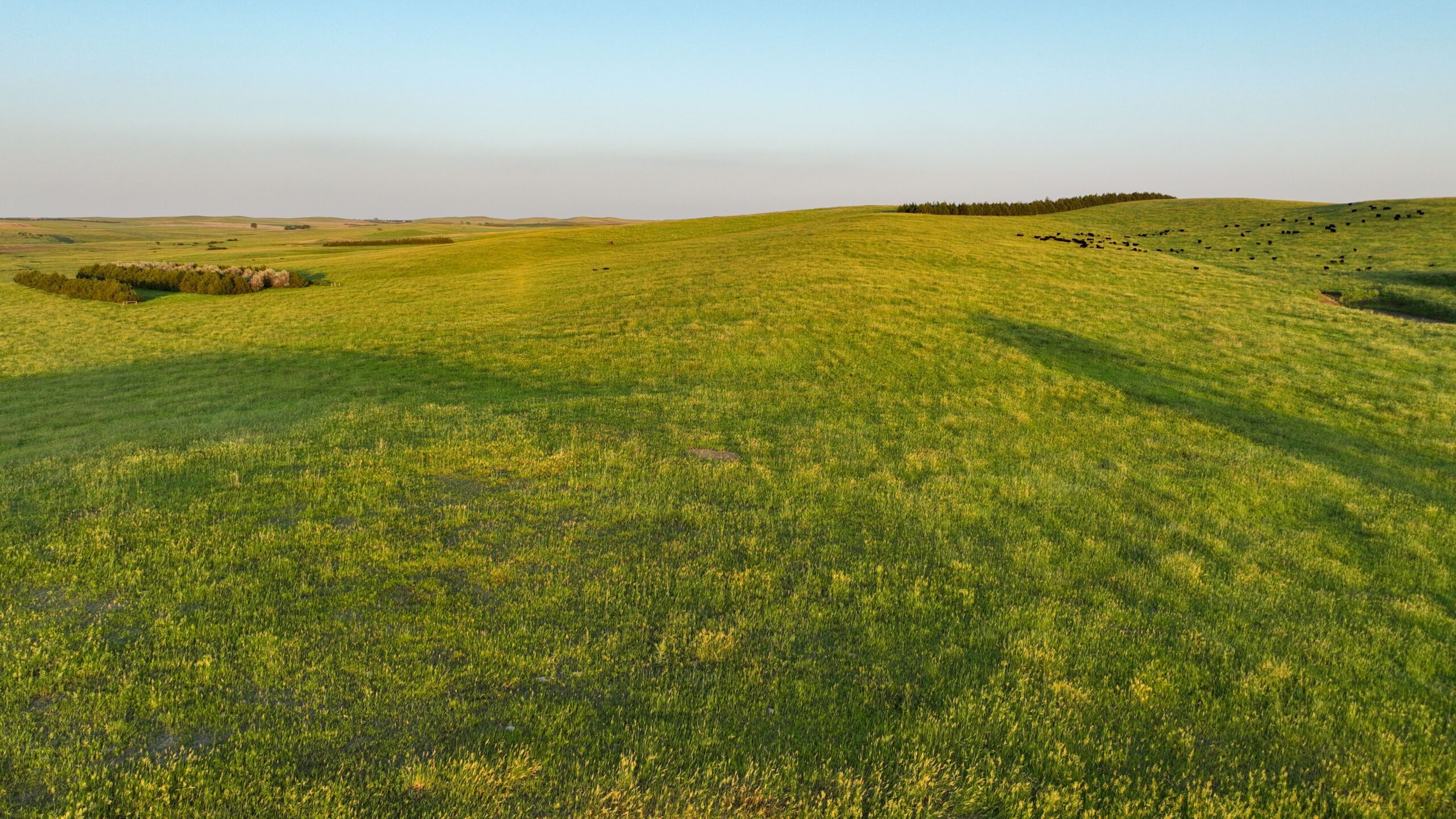 Tripp County, South Dakota Pasture/Headquarters Site Auction