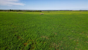 Holt County, Nebraska Recreational Pasture Property for Sale