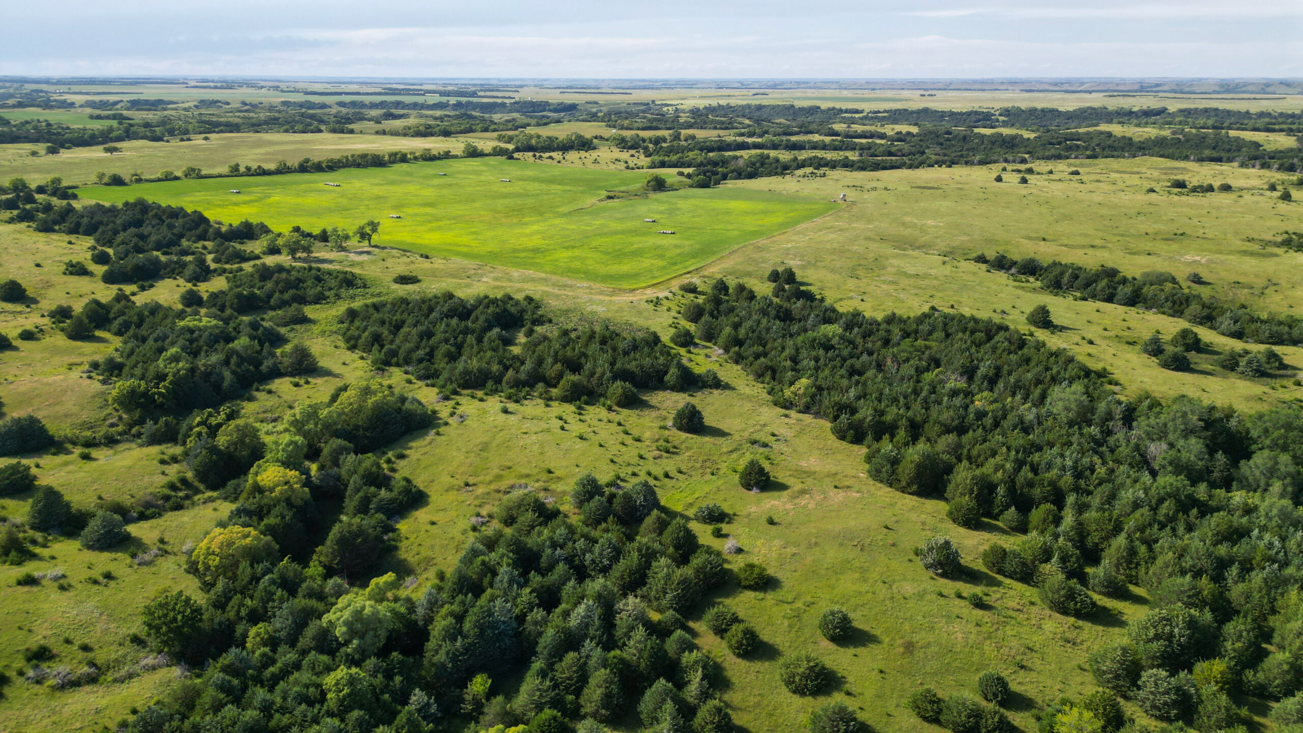 Hunting Land and Pasture for Sale - Holt County, NE | Acreage For Sale