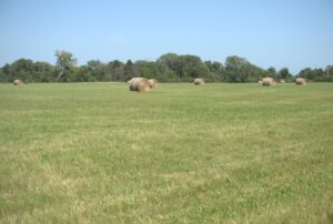 Holt County, Nebraska Hay Meadow For Sale