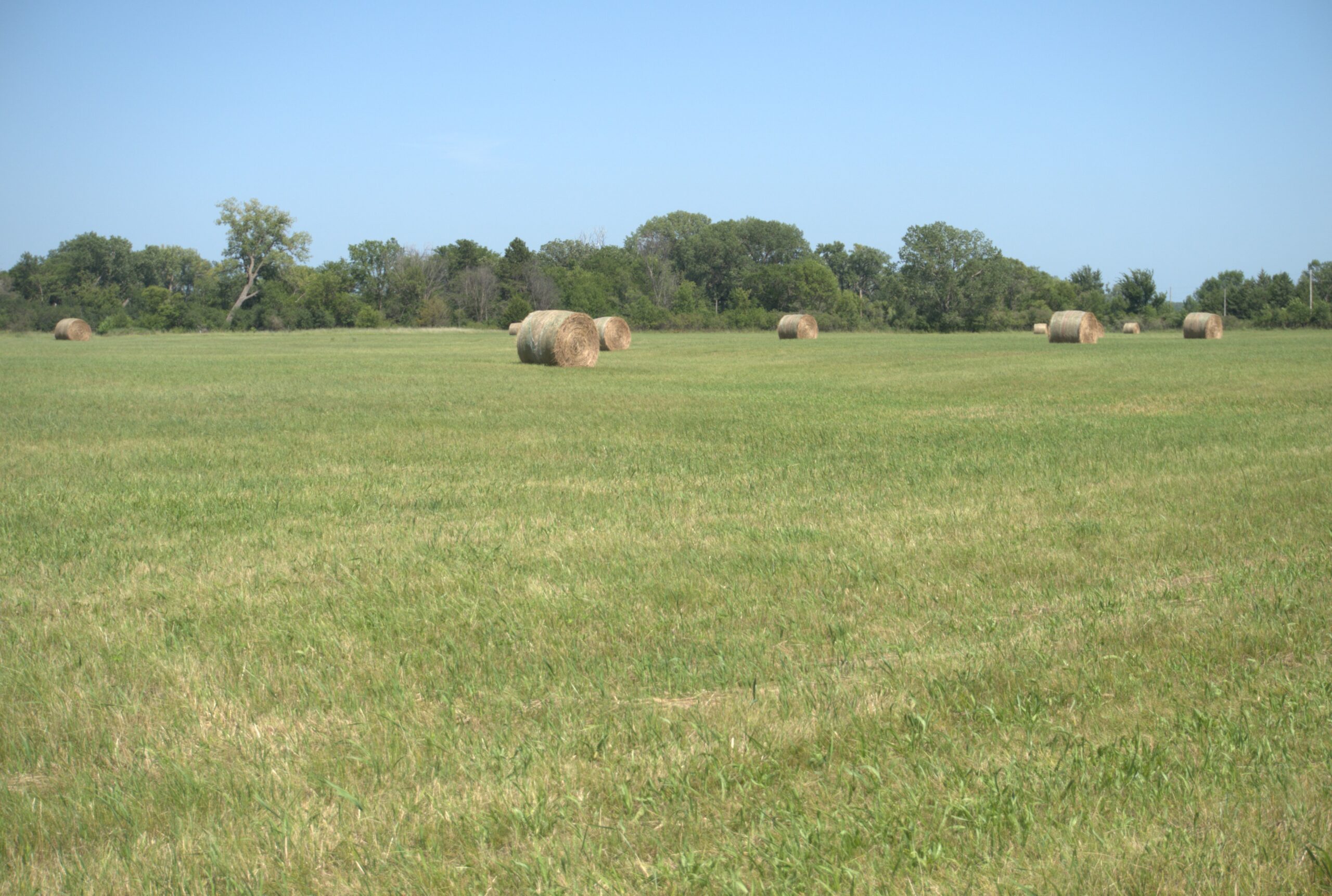 Holt County, Nebraska Hay Meadow For Sale
