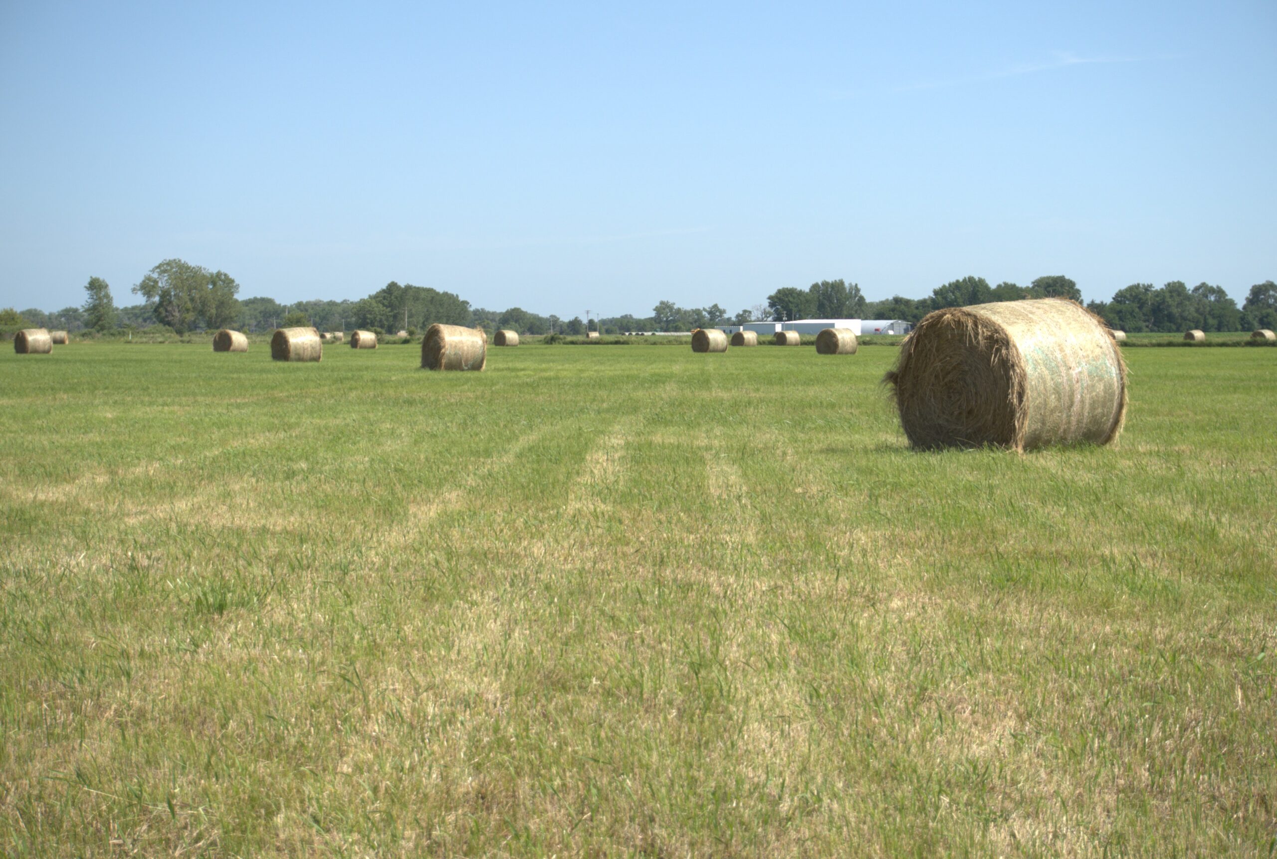 Holt County, Nebraska Hay Meadow For Sale