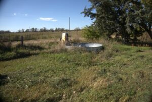 Holt County Sub-Irrigated Meadow Auction