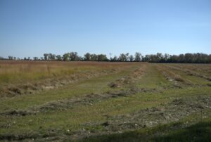Holt County Sub-Irrigated Meadow Auction