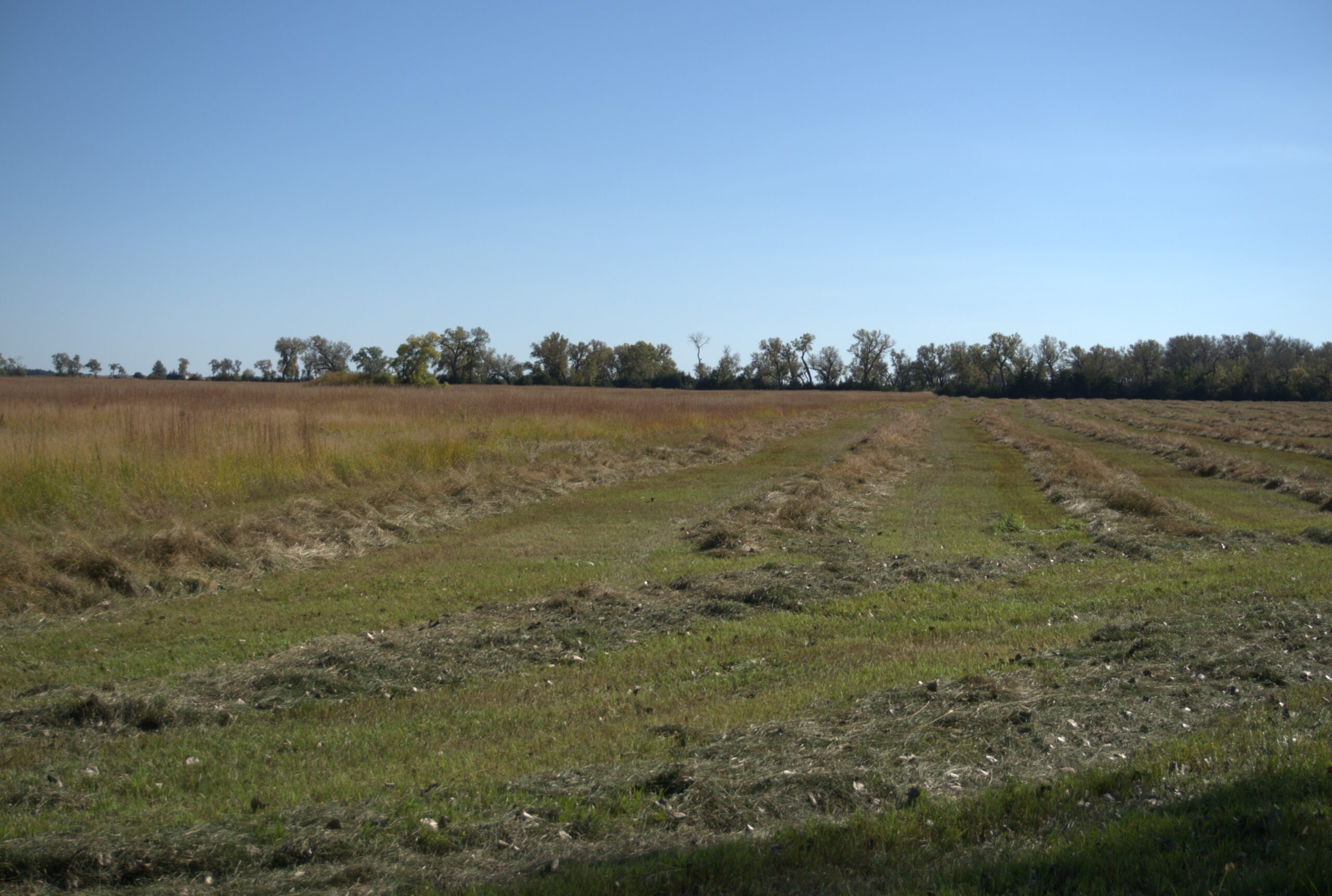Holt County Sub-Irrigated Meadow Auction