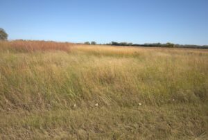 Holt County Sub-Irrigated Meadow Auction
