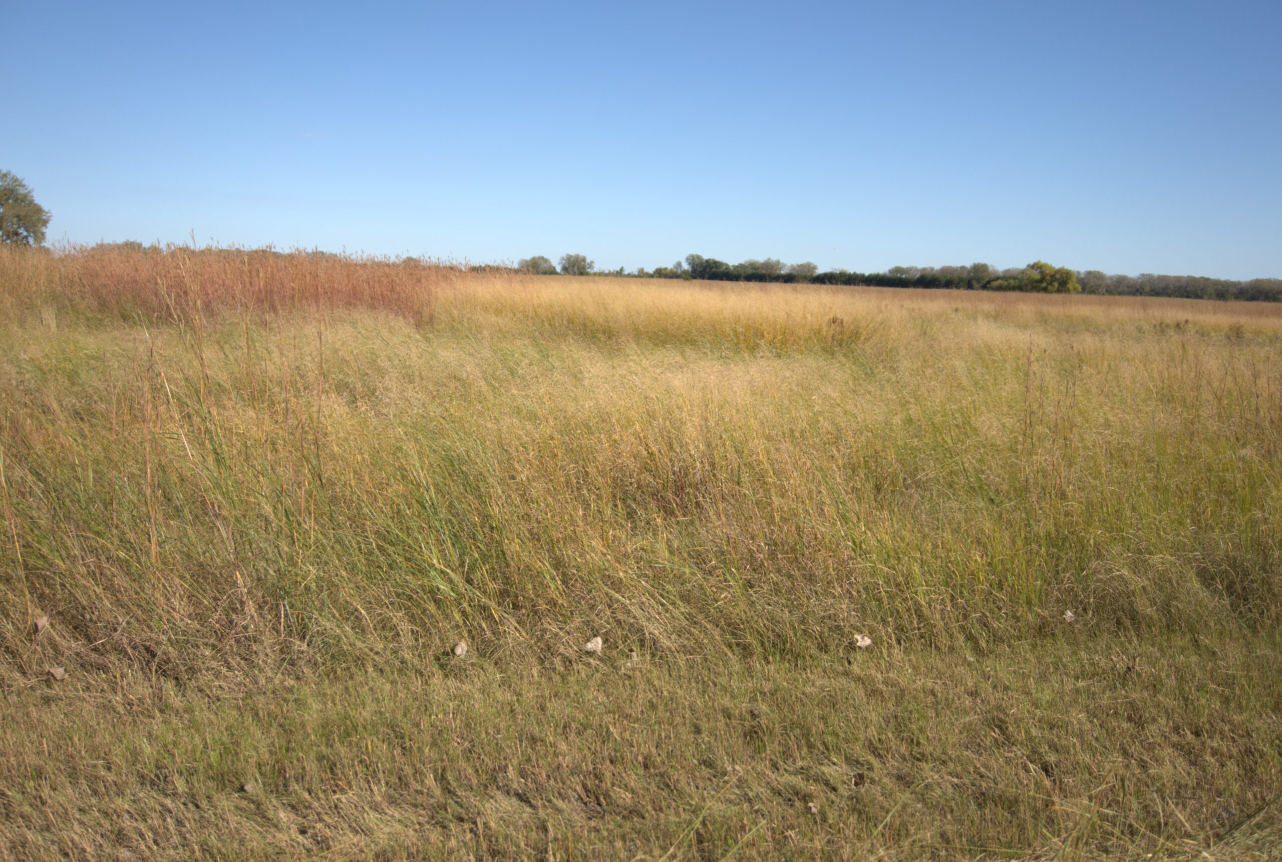 Holt County Sub-Irrigated Meadow Auction