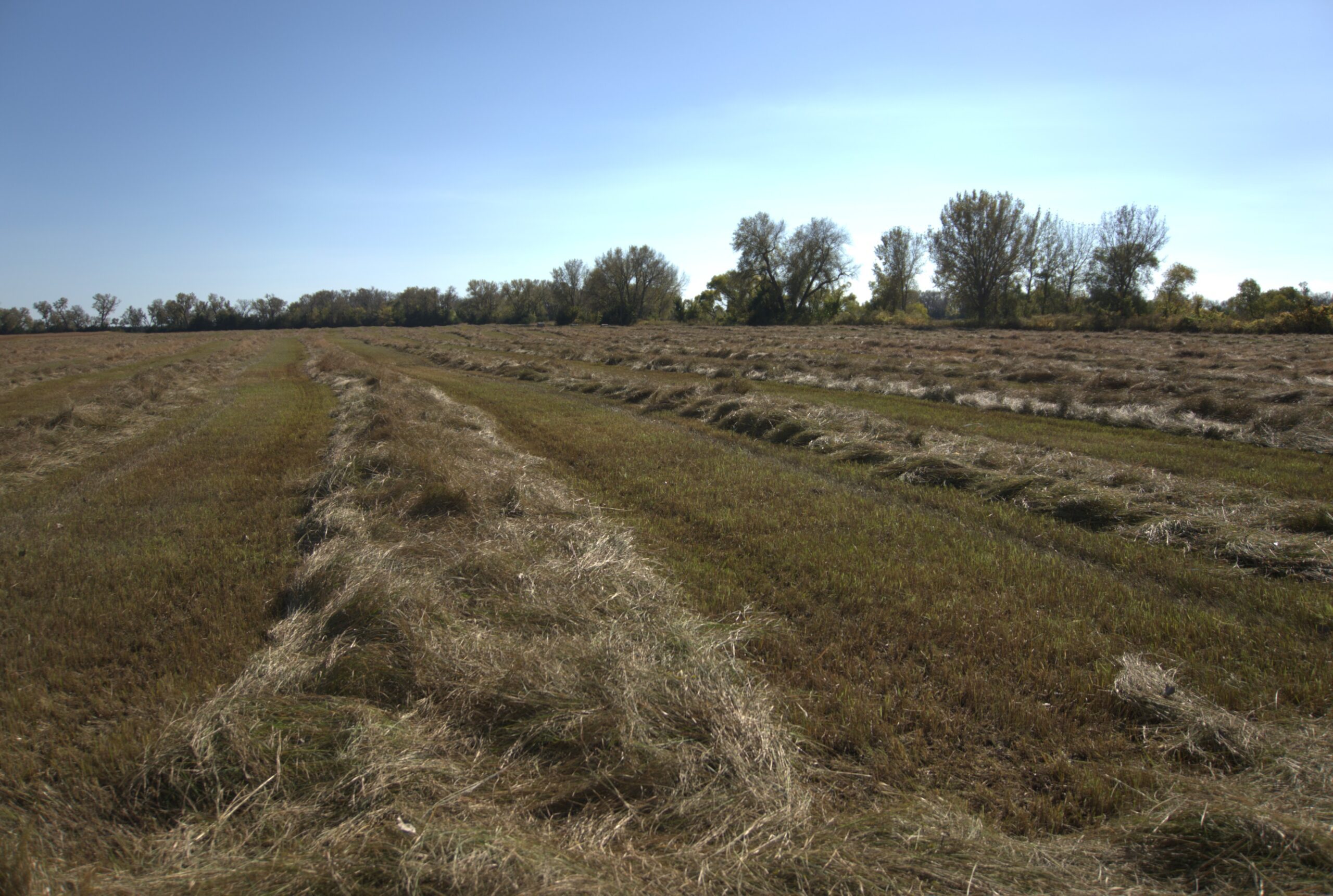 Holt County Sub-Irrigated Meadow Auction