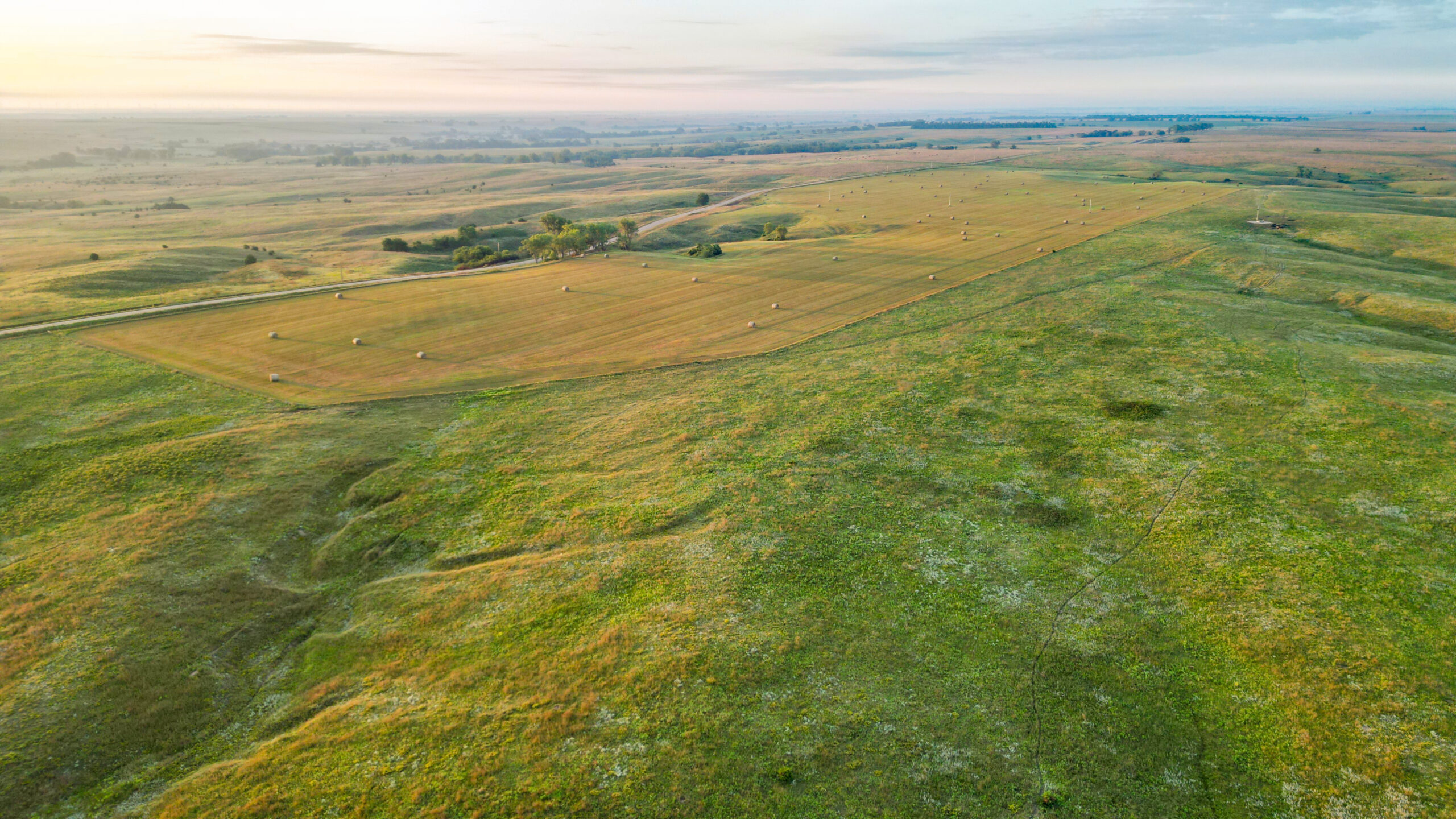 Holt County Land Auction