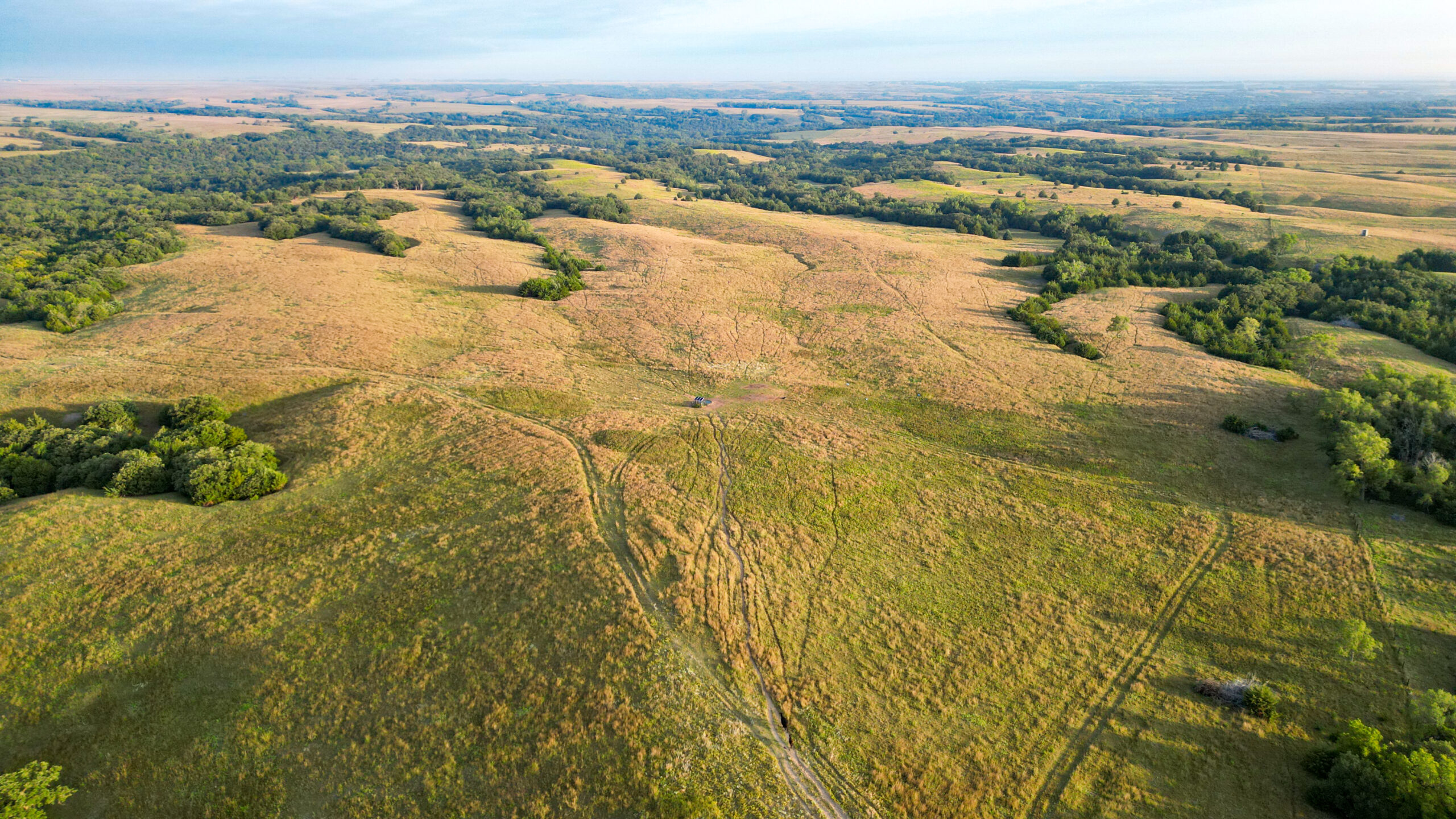 Holt County Land Auction