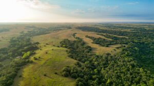 Holt County Land Auction