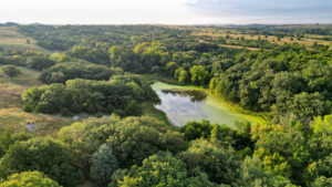Holt County Land Auction