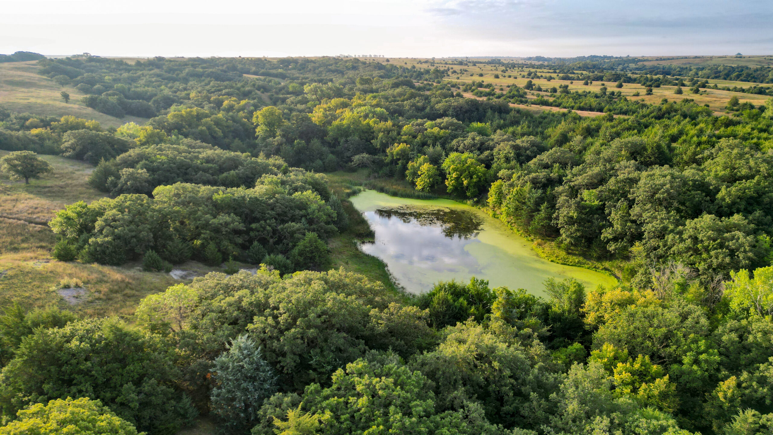 Holt County Land Auction