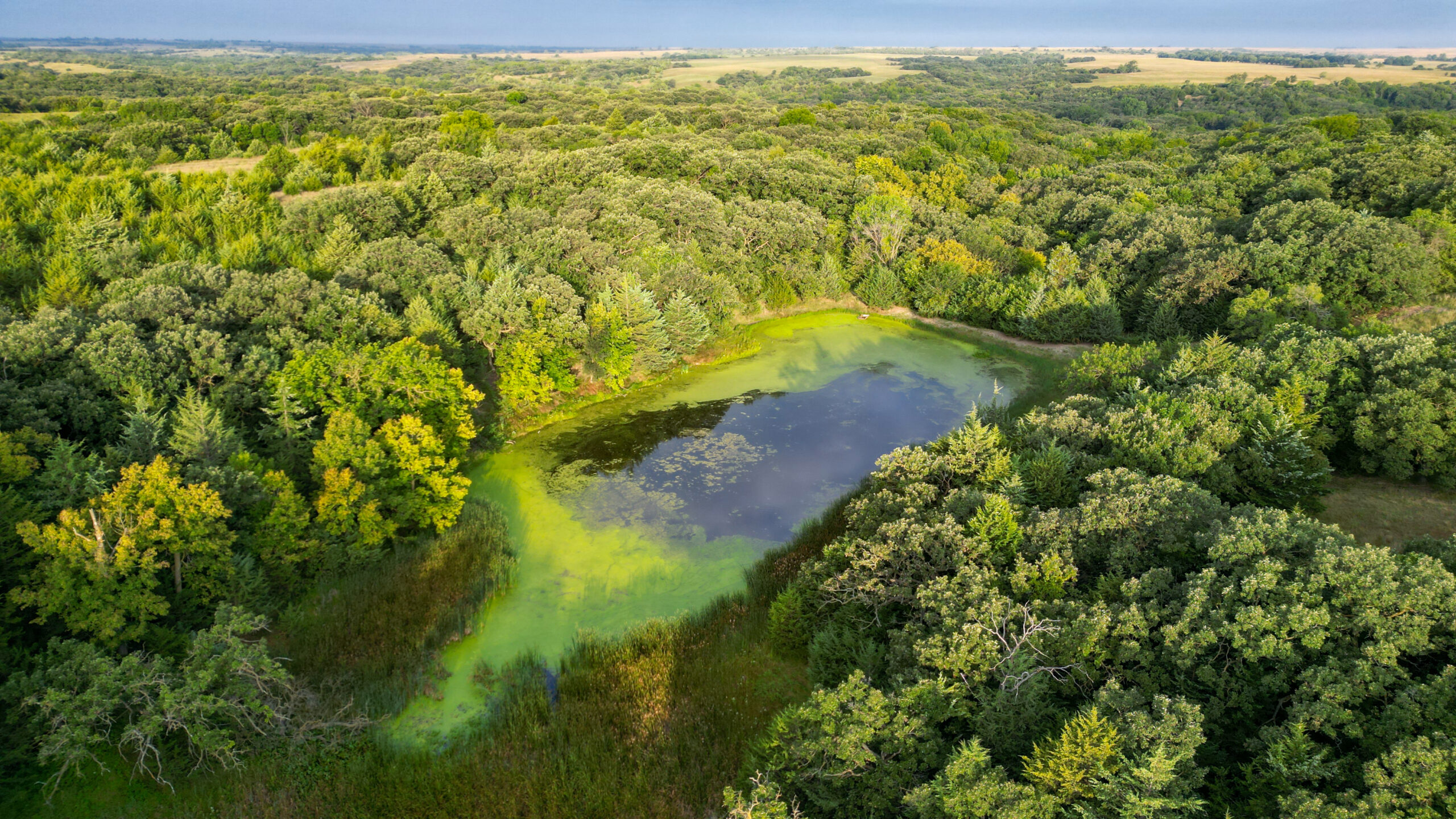 Holt County Land Auction