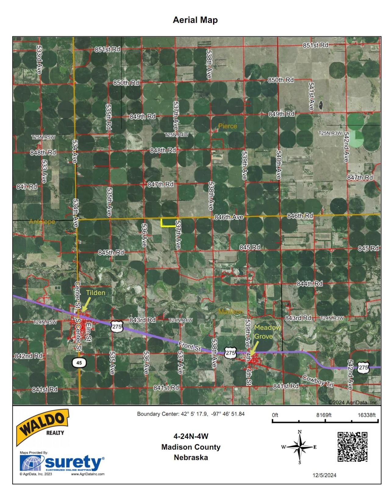 Madison County Irrigated Farm For Sale