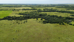 Holt County, Nebraska Dry Cropland Hunting Paradise For Sale