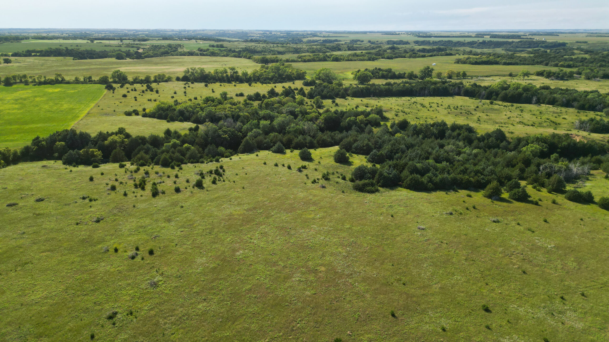 Holt County, Nebraska Dry Cropland Hunting Paradise For Sale