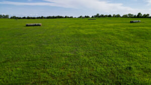Holt County, Nebraska Dry Cropland Hunting Paradise For Sale