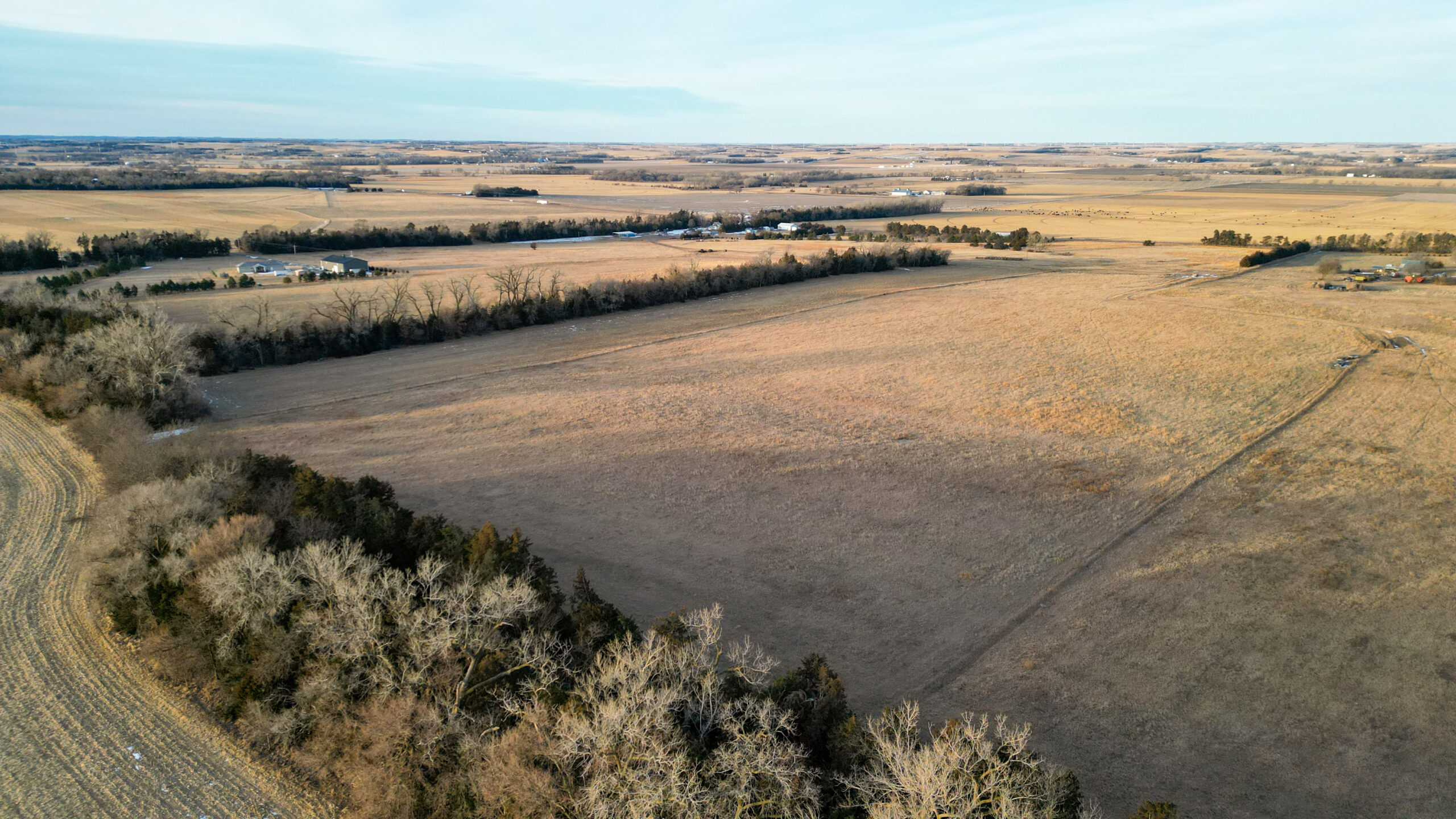 Pierce County, Nebraska Acreage/Pasture/Dryland For Sale