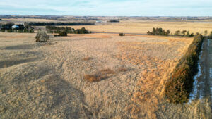 Pierce County, Nebraska Acreage/Pasture/Dryland For Sale