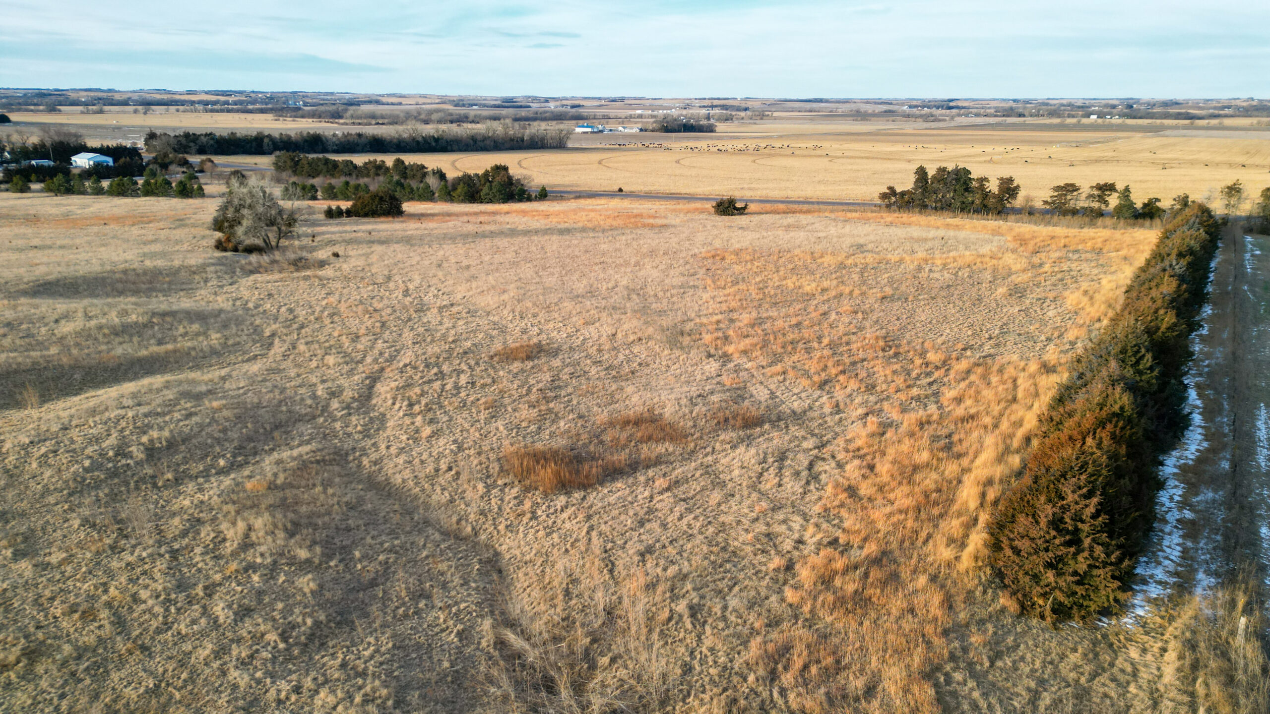 Pierce County, Nebraska Acreage/Pasture/Dryland For Sale