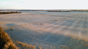 Pierce County, Nebraska Irrigated Farms for Sale