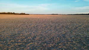 Pierce County, Nebraska Irrigated Farms for Sale