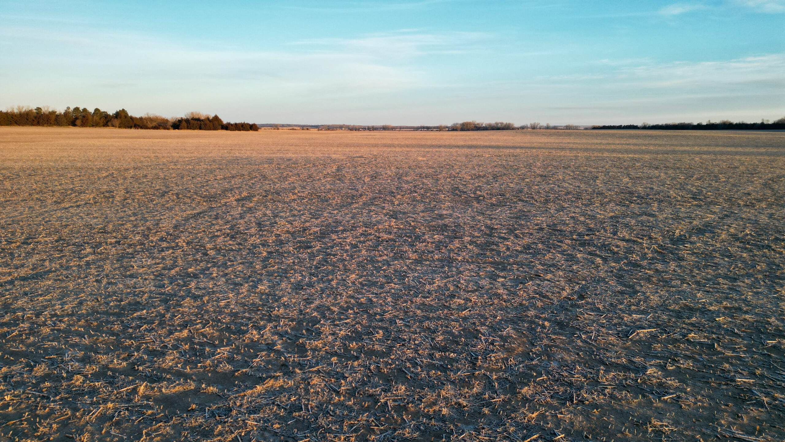 Pierce County, Nebraska Irrigated Farms for Sale