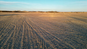 Pierce County, Nebraska Irrigated Farms for Sale