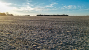 Pierce County, Nebraska Irrigated Farms for Sale