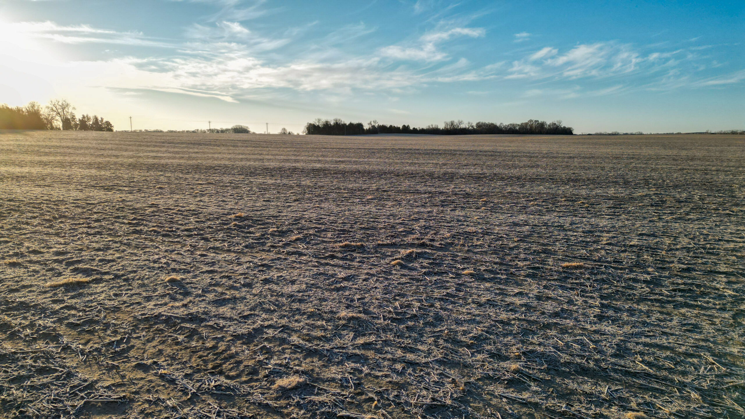 Pierce County, Nebraska Irrigated Farms for Sale