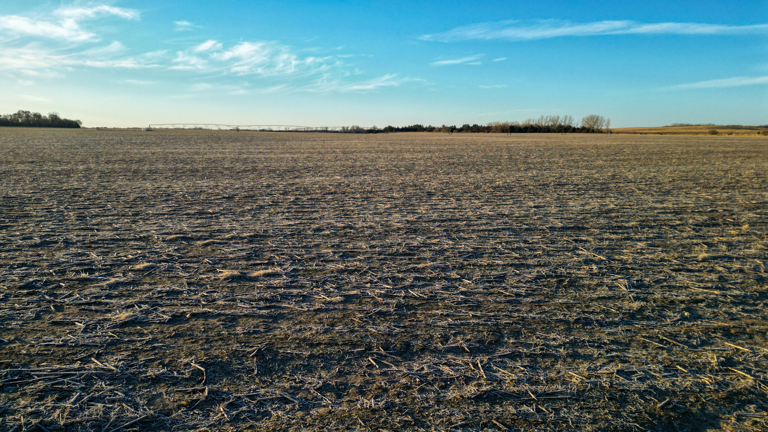 Pierce County, Nebraska Irrigated Farms for Sale