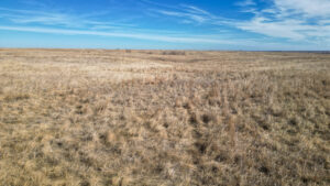 Holt County, Nebraska Pasture For Sale