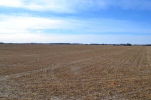 Pierce County, Nebraska Irrigated Farm for Sale