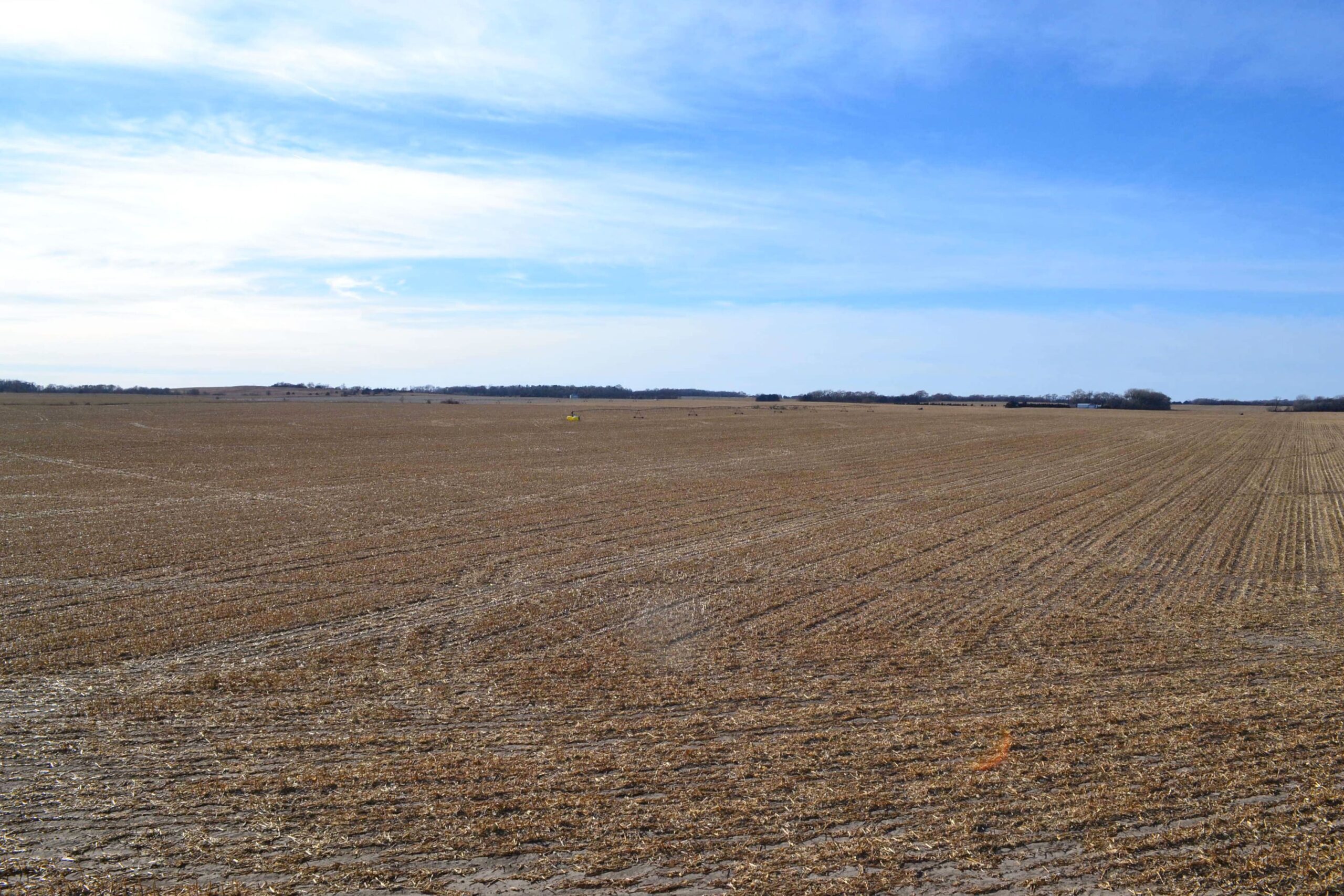 Pierce County, Nebraska Irrigated Farm for Sale