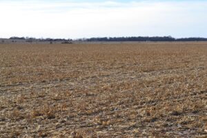 Pierce County, Nebraska Irrigated Farm for Sale