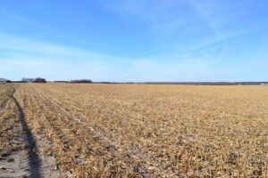 Pierce County, Nebraska Irrigated Farm for Sale