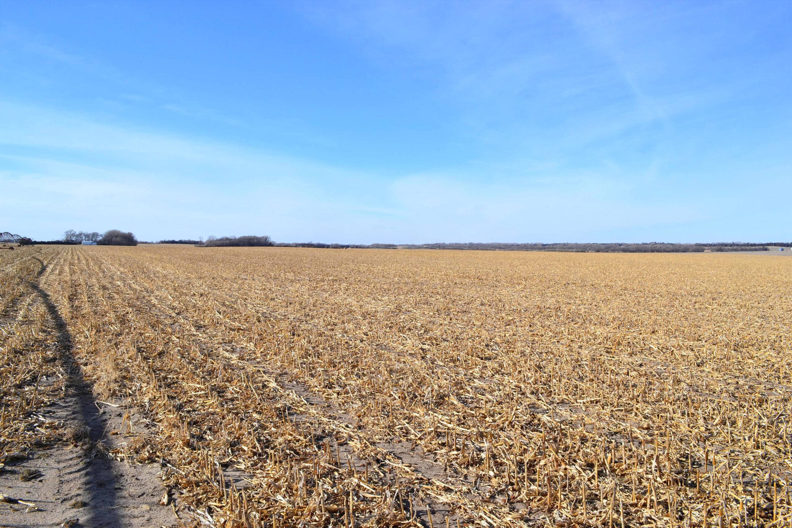 Pierce County, Nebraska Irrigated Farm for Sale