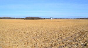 Pierce County, Nebraska Irrigated Farm for Sale