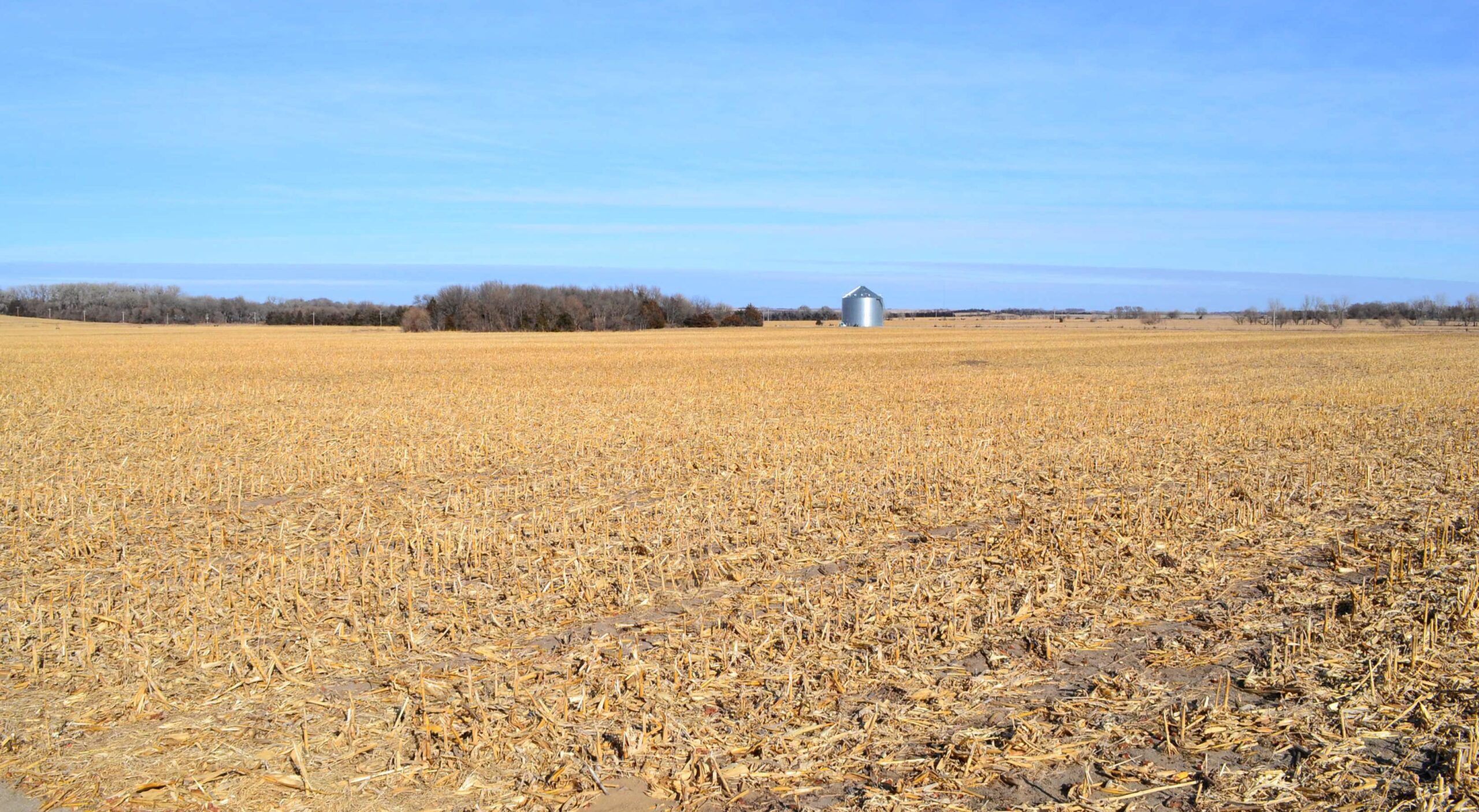 Pierce County, Nebraska Irrigated Farm for Sale