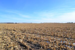 Madison County Irrigated Farm For Sale
