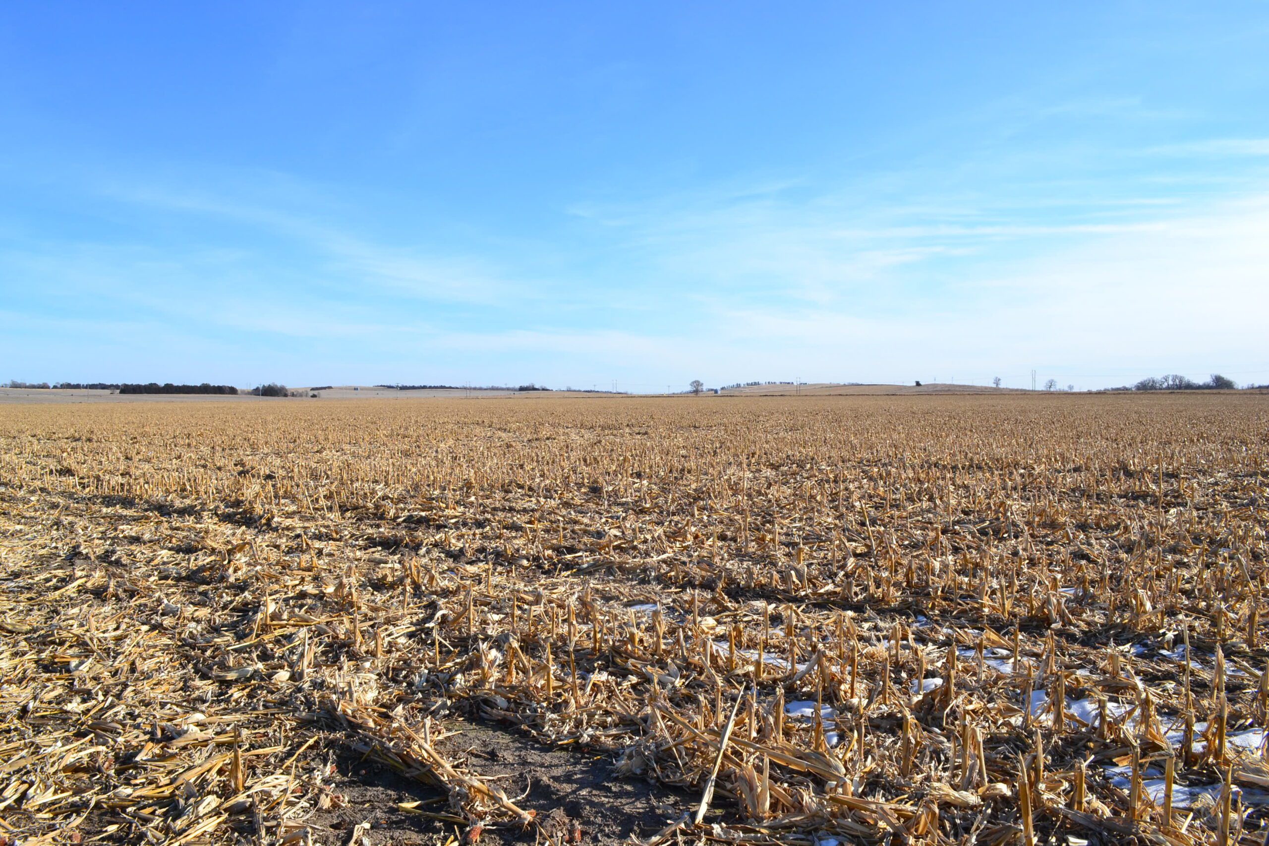 Madison County Irrigated Farm For Sale