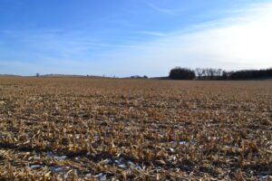 Madison County Irrigated Farm For Sale
