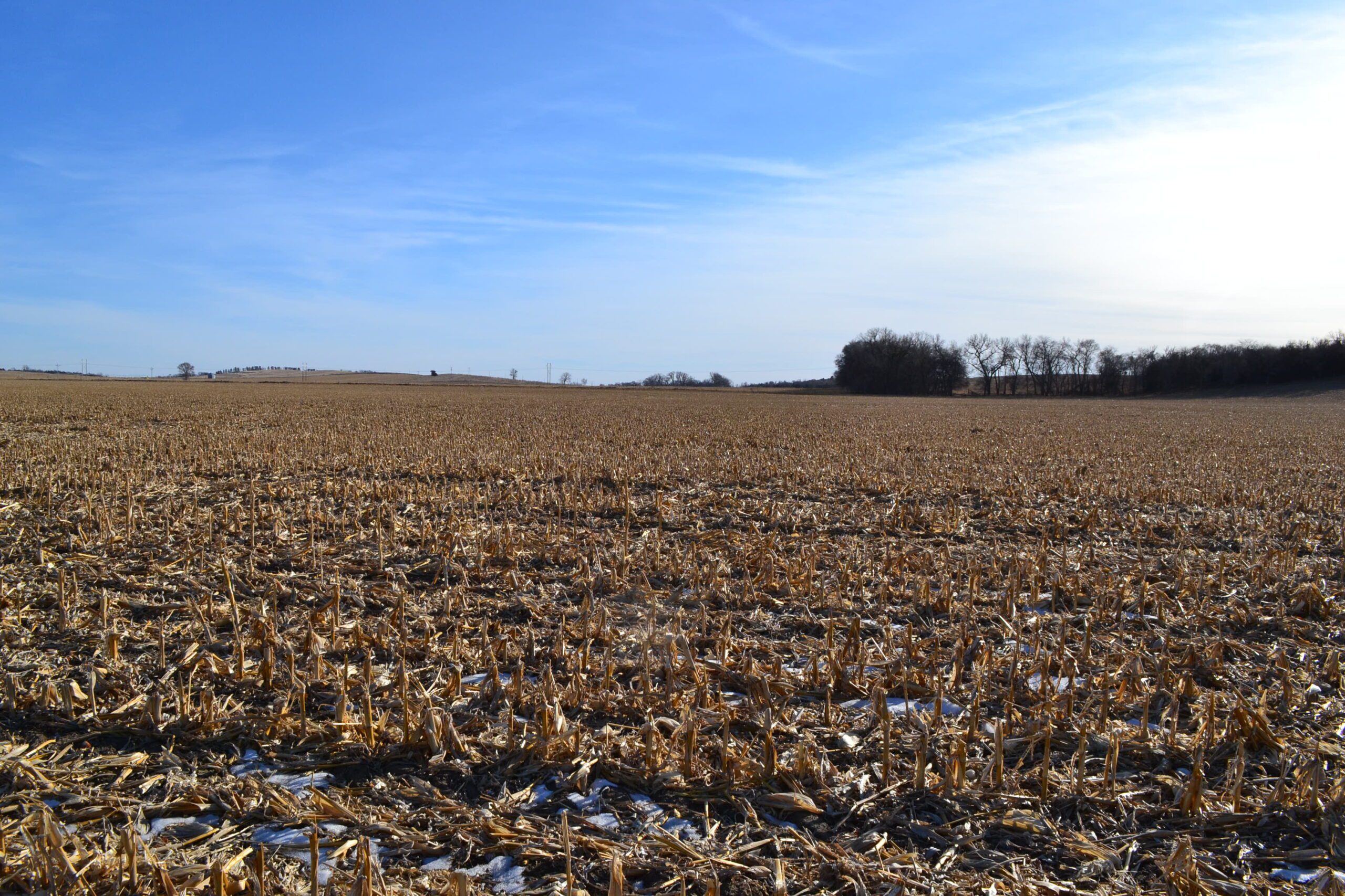 Madison County Irrigated Farm For Sale