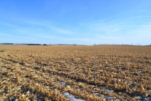 Madison County Irrigated Farm For Sale